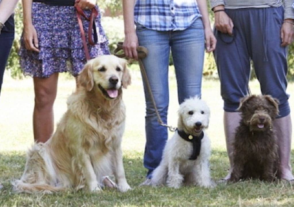 children-with-dog