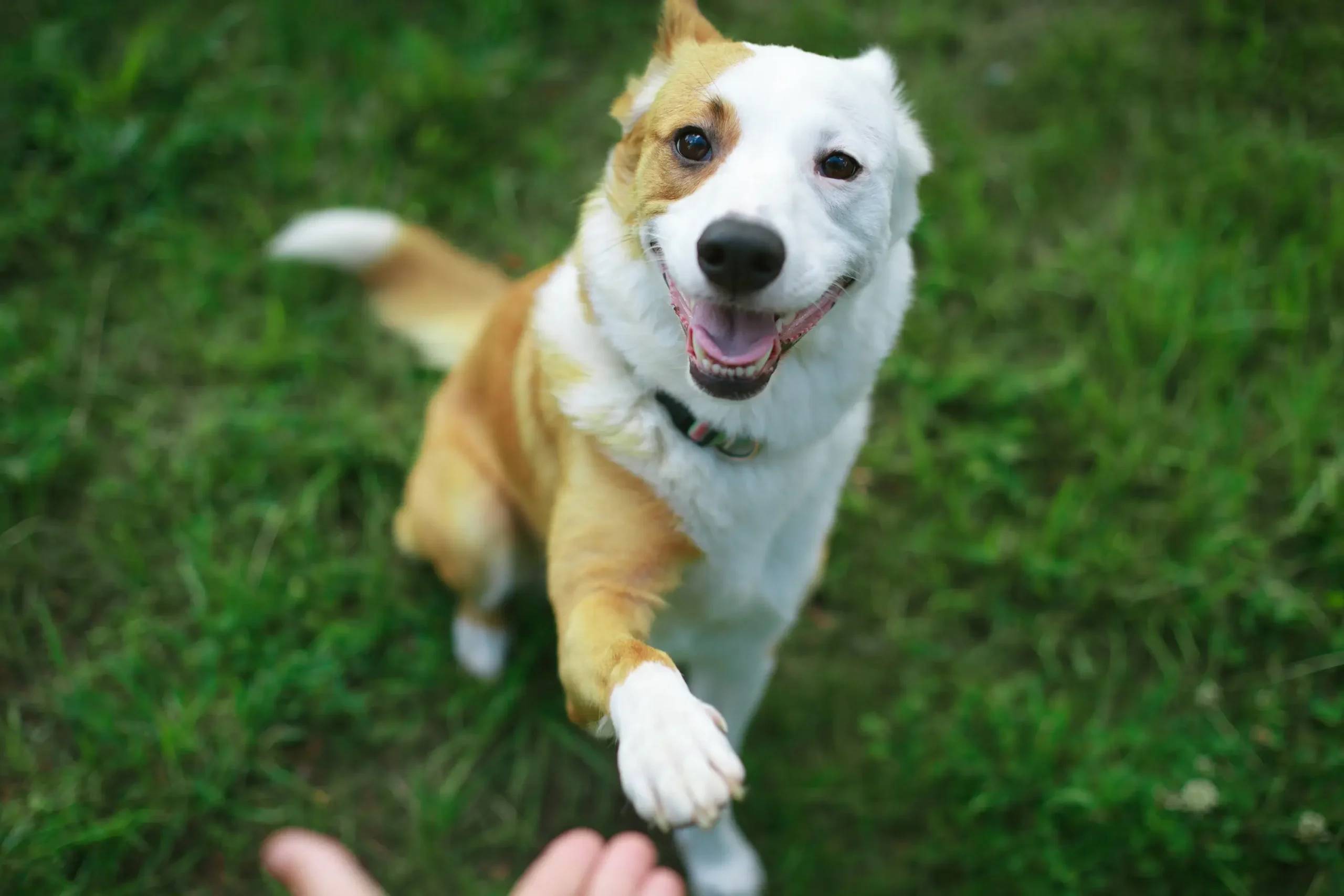 Request-Evaluation-For-Daycare-banner